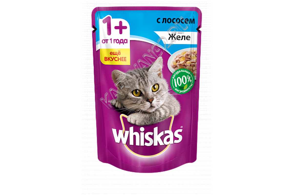 Корм для котов Whiskas Желе лосось 75г